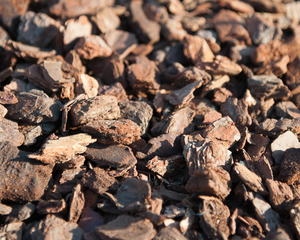 Schüttgut Pinienmulch kaufen