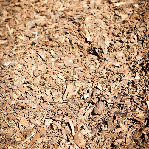Rindenmulch im Detail